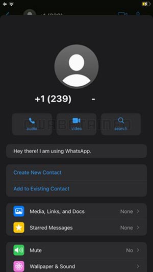 صفحه اطلاعات تماس جدید در واتساپ