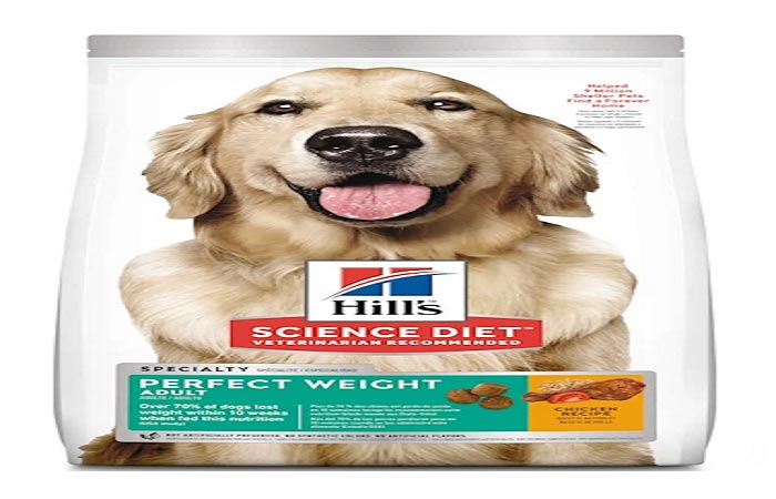 انواع غذای سگ هیلز