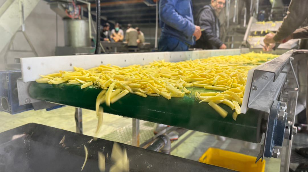 افتتاح خط تولید سیب زمینی فرنچ فرایز در سنندج