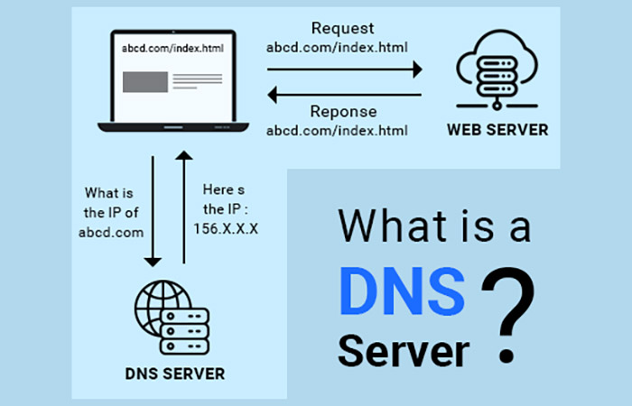 دی ان اس اختصاصی بهتره یا اگزیت لگ؟