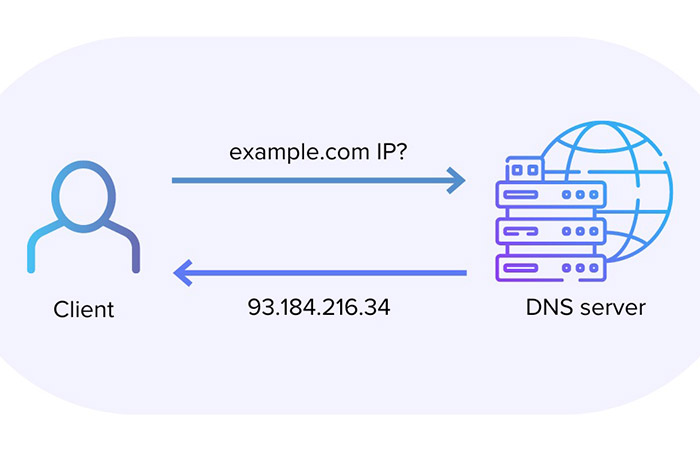 دی ‌ان ‌اس اختصاصی چیست و چگونه عمل می‌ کند؟