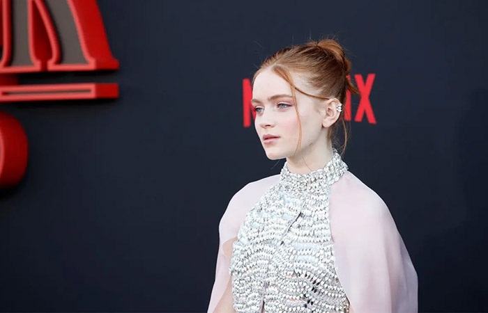 سدی سینک در نقش ناشناس