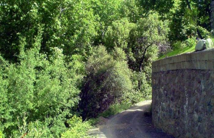 شهریار مقصدی دنج با فضای روستایی و باغویلاها