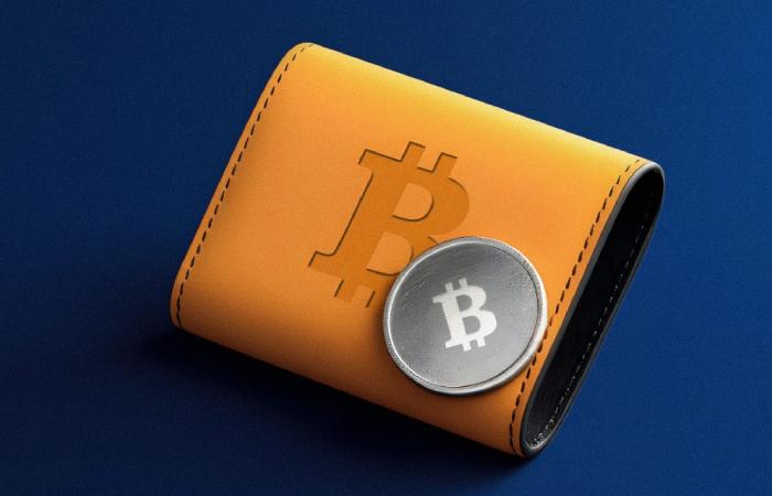 انتخاب کیف پول امن